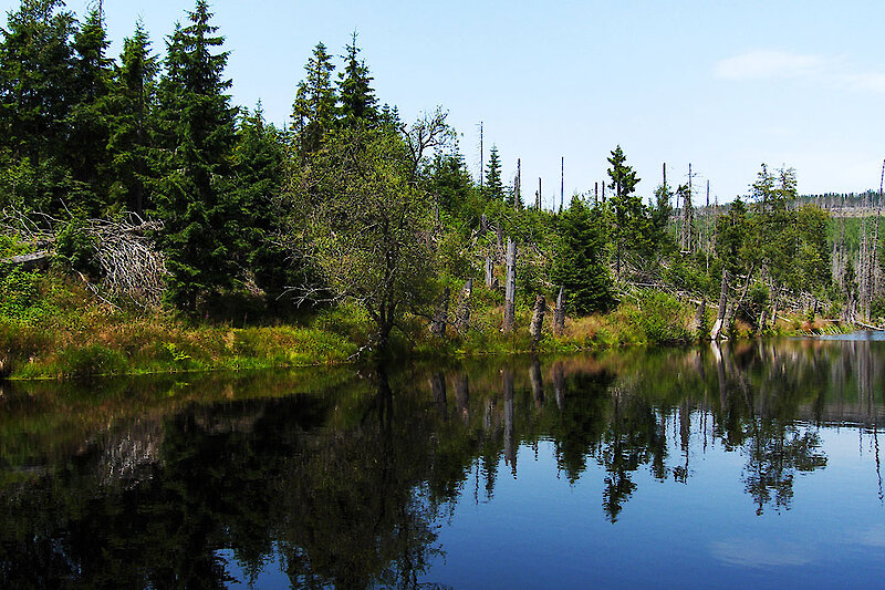 Naturerlebnis Nationalpark Bayerischer Wald